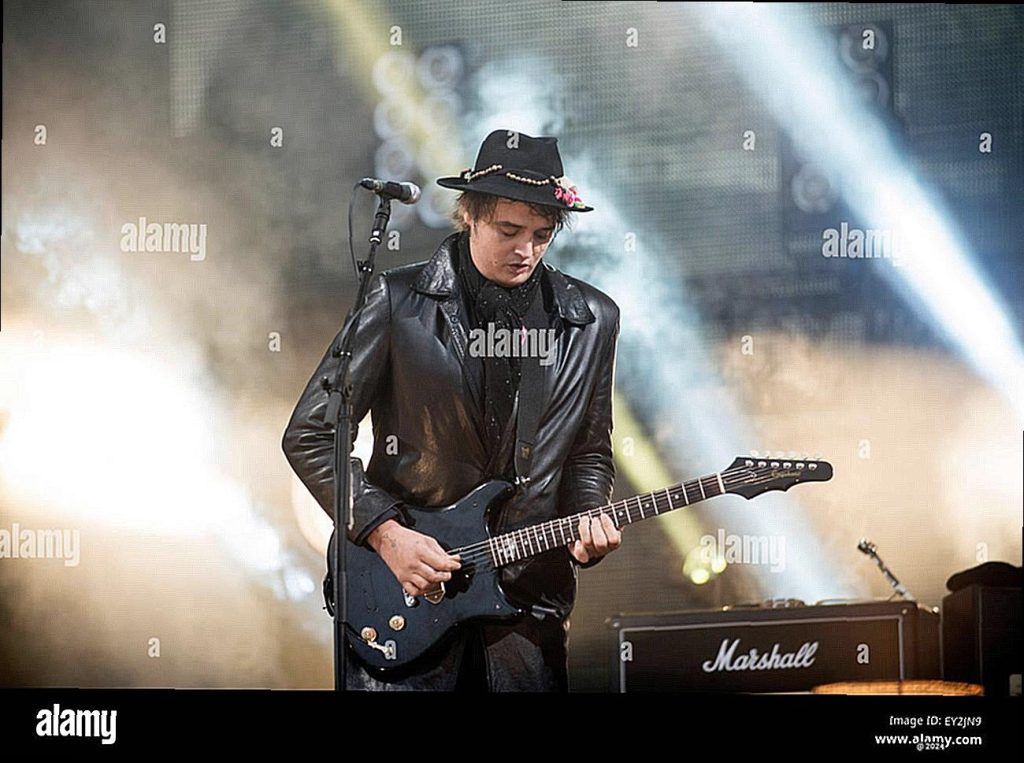 Pete Doherty – Ein Blick Auf Das Vermögen Des Britischen Musikers